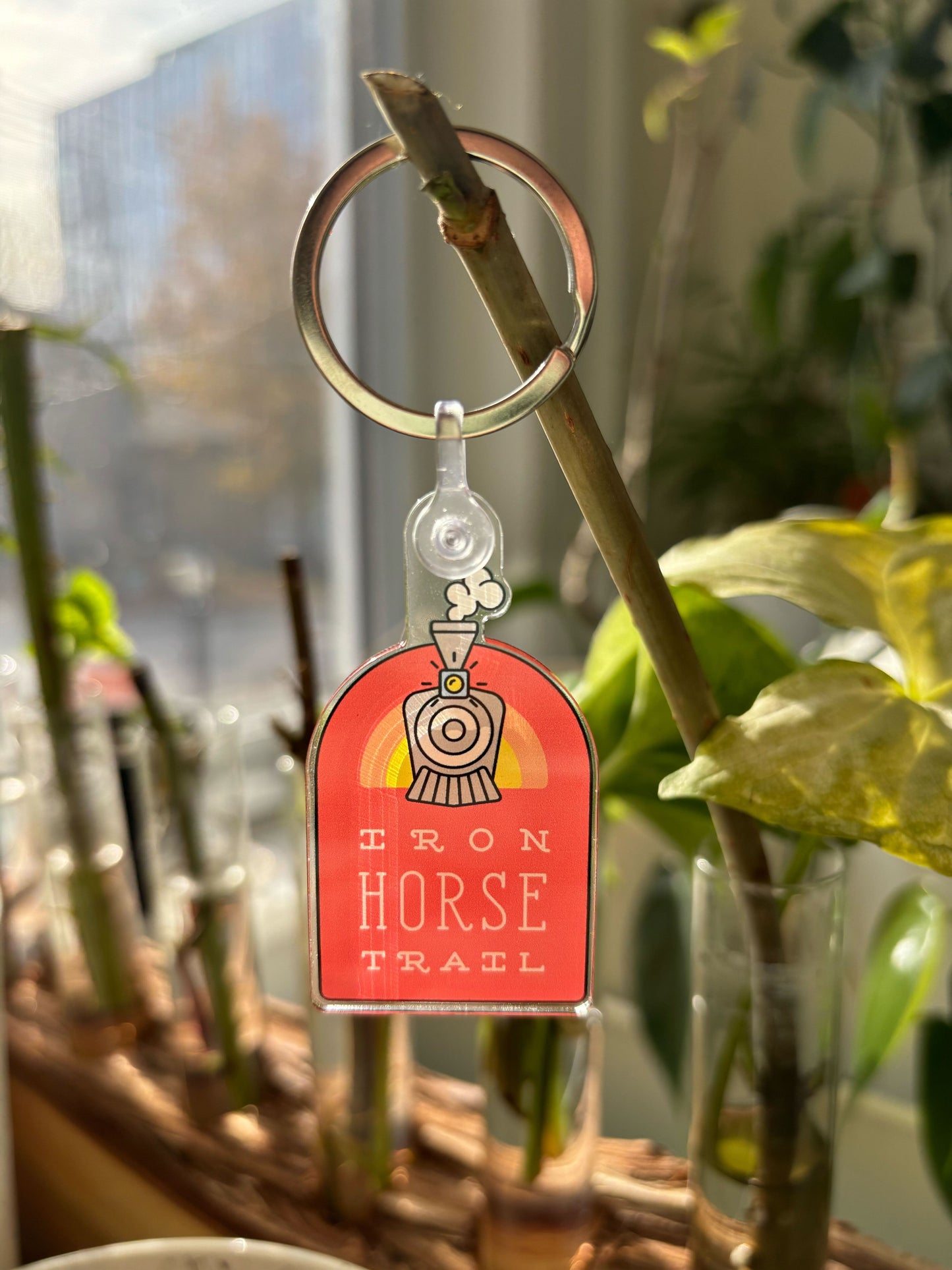 Iron Horse Trail Keychain