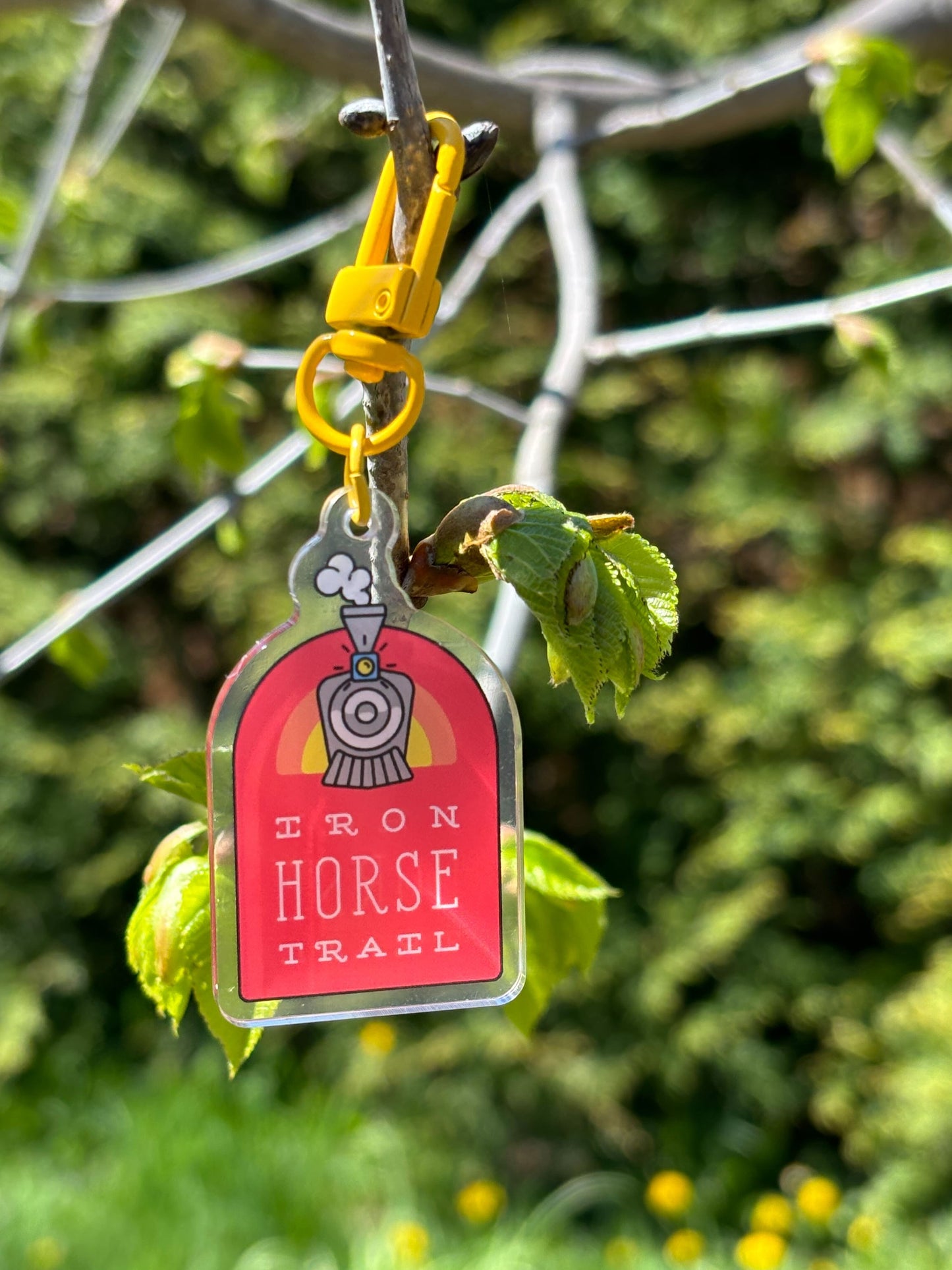 Iron Horse Trail Keychain