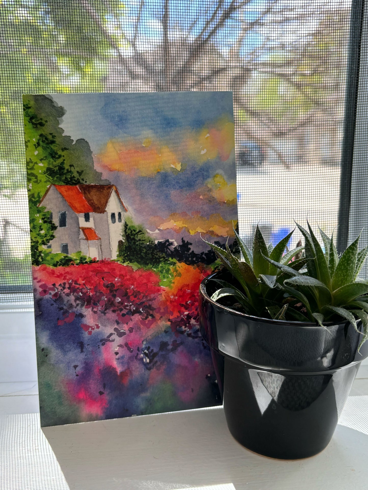 Sunset Bloom