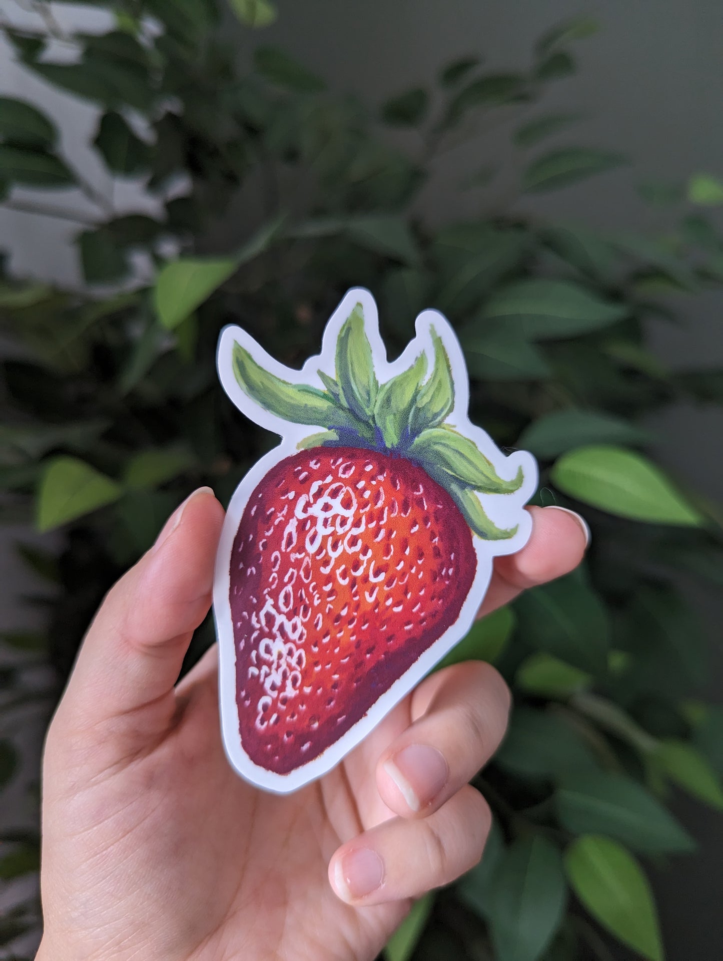 Fruit Stickers & Magnets