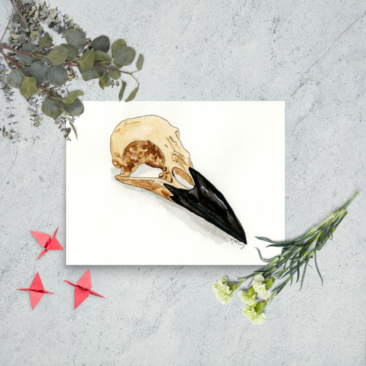 Crow Skull - Matte Poster Print